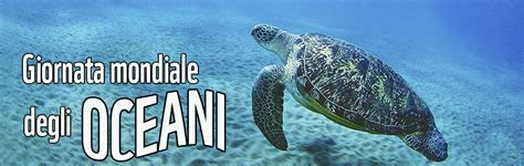 Giugno Giornata Mondiale Degli Oceani Wwf Italy