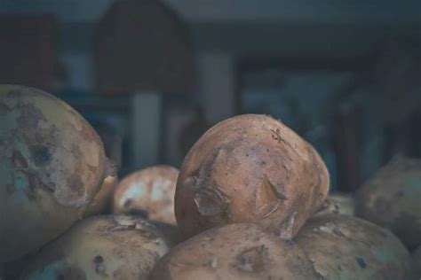 La piel de frutas y verduras también puede tener beneficios