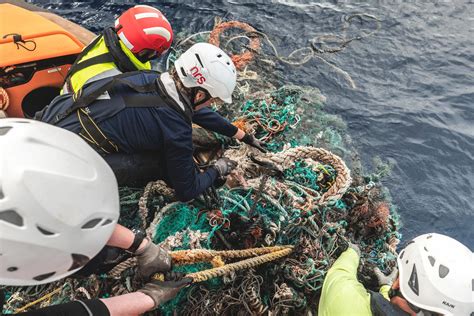 Descubren Que El Gran Parche De Basura Del Pacífico Es Un Ecosistema