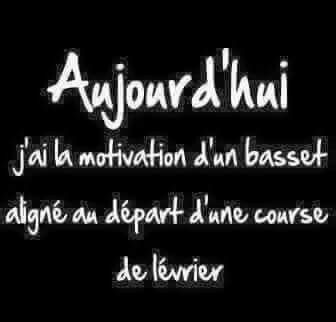 Épinglé par Vi D sur Traits d humour d humeur d esprit sarcasmes