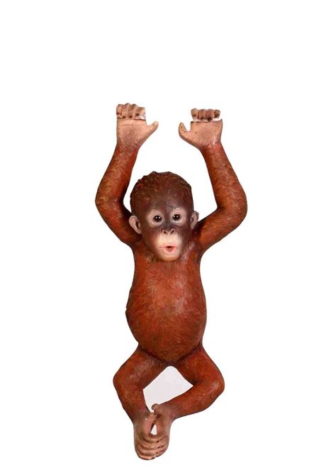 Hanging Baby Orangutan - Hamac Trading