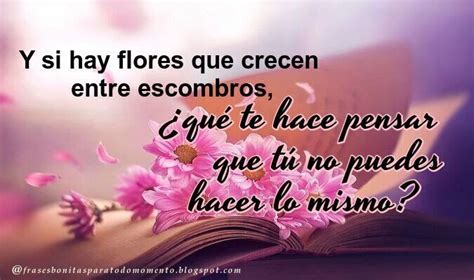 Frases Bonitas Para Todo Momento Mary Y Si Hay Flores Que Crecen