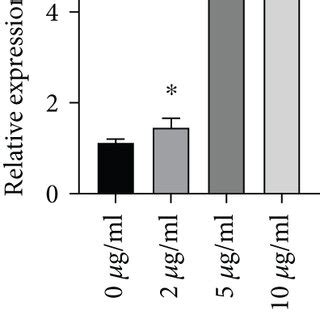 The Inhibitory Effects Of Propofol On The Proliferation And Migration