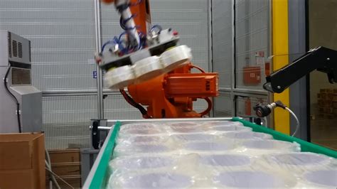 Revolutionary Automated Packaging Palletizing System The Ultimate