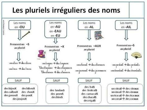 2e Du Niveau Intermédiaire B22 Pluriel Des Noms Pluriels Irréguliers Le Pluriel