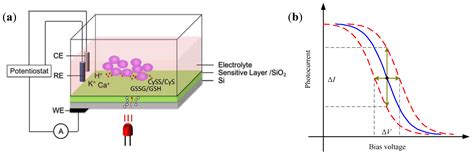 Biosensors Free Full Text Microfabricated Electrochemical Cell