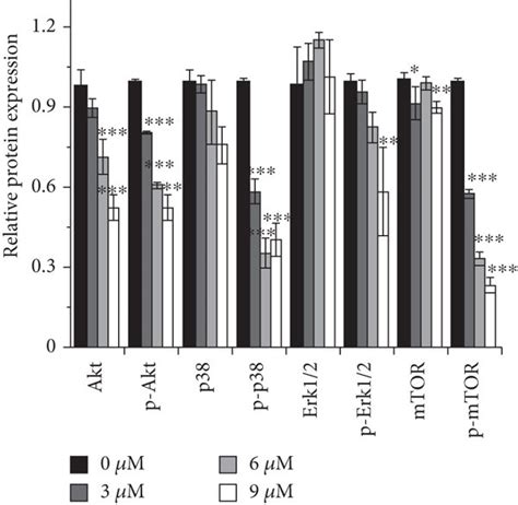 Effect Of Ced On Proteins Involved In Vegfr Akt Mtor And Vegfr Mapk