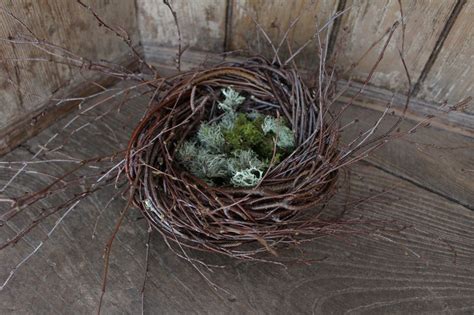 How To Make DIY Birds Nests For Spring Decor Love Our Real Life