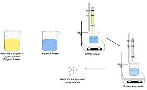 Solvent evaporation technique. | Download Scientific Diagram