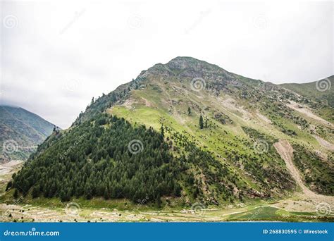 Fairy Meadows of Nanga Parbat in India Stock Image - Image of summer ...