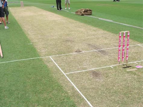 A A Cricket Pitch Early In A Match With Visible Grass Blades And Roots