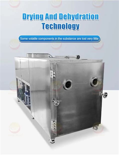 Industrial Fruit Freeze Dryer Affordable Big Capacity 30kg 100kg Per