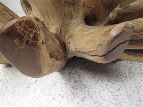 Impressive Mid Century Modern Tree Root Coffee Table For Sale At