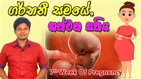 Pregnancy 7th Week Sinhala Medical Review අම්මයි බබයි Youtube