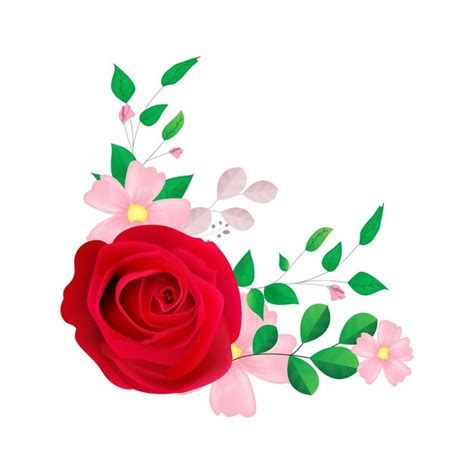 Premium Vector Beautiful Red Rose Illustration