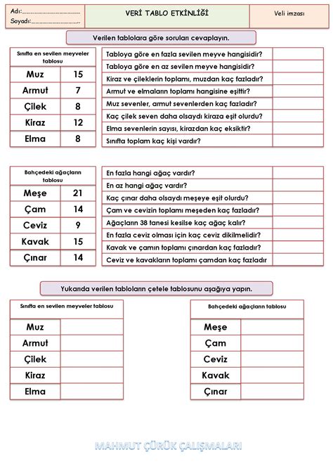 2 Sınıf Matematik Veri Tablo Etkinliği Etkinliği MaviOkul 2024 2025