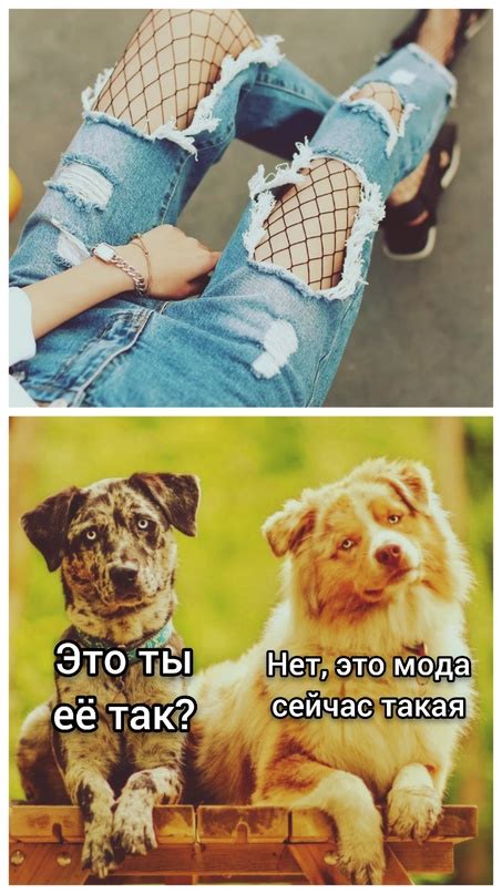 Мода Мохнатая жопа ВКонтакте