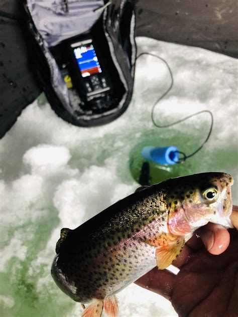 Ice fishing trout in Southern Wyoming : r/IceFishing