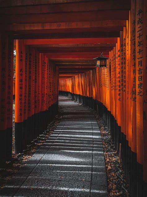 観光にオススメ 日本の神社5選【伏見稲荷大社 伊勢神宮 出雲大社 厳島神社 大神神社】 工事写真アプリ「ミライ工事」