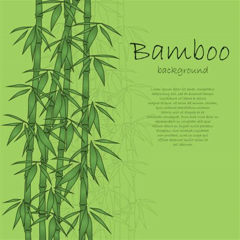 Bamboo Shoot Growing Illustrations Royalty Free Vector Graphics And Clip Art Istock