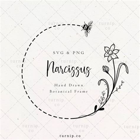 December Birth Flower Svg Png Narcissus Bee Wreath Clipart Floral