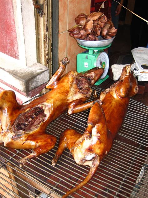 Do Vietnamese eat dog meat? What do the young locals say? - Saigon Kiss Tours