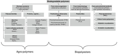 Types Of Polymers Chart