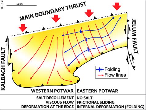 Simplified Cartoon Summarizing The Main Characteristics And Deformation