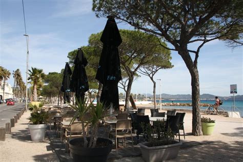 Restaurant La Ciotat Les Adresses Ne Surtout Pas Manquer