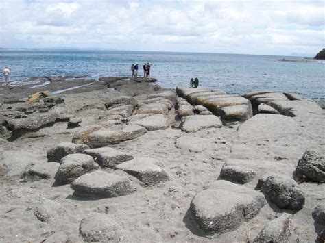 A Beautiful Day Out At Goat Island, New Zealand - Anita Hendrieka