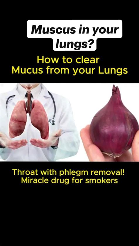 how to get phlegm out of chest 5