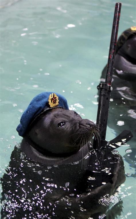 russian navy seals | laststandonzombieisland