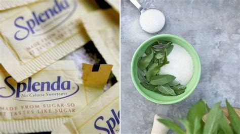 Stevia Vs Splenda ¿cuáles Son Sus Diferencias Y Cuál Es Mejor Ser Zen