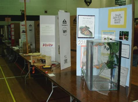 Top 100 Science Fair Projects - HubPages