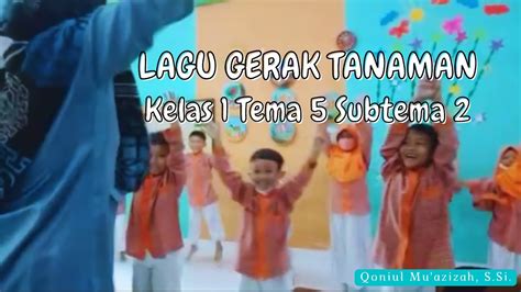 Lagu Gerak Tanaman Menirukan Gerak Tanaman Sbdp Kelas 1 Tema 5 Subtema 2 Menari Sbdpkelas1