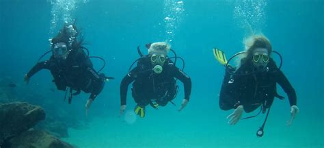 Padi Ssi Scuba Diver Course For Beginners In Lanzarote Native Diving