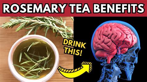 Reasons To Drink Rosemary Tea Daily Benefits Of Rosemary Tea You