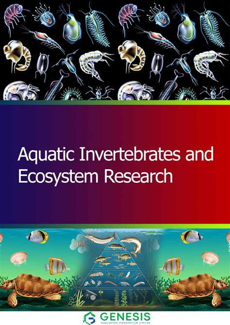 Names Of Invertebrates 2