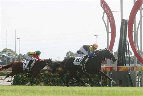 ＜中京2r・2歳未勝利＞ゴール前の混戦を制した今村聖奈騎乗のトゥーテイルズ（右）（撮影・椎名 航） ― スポニチ Sponichi Annex ギャンブル