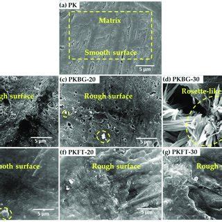 Sem Micrographs Of The Surface Morphologies Showing Details Of Smooth