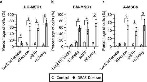 Application Of The Deae Dextran Protocol To Transduce Mscs With Four