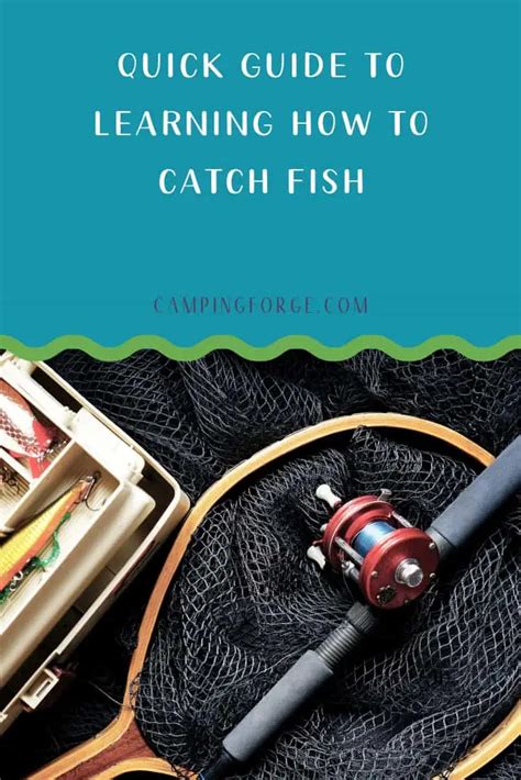 Quick Guide To Learning How To Catch Fish | Camping Tips From Camping Forge