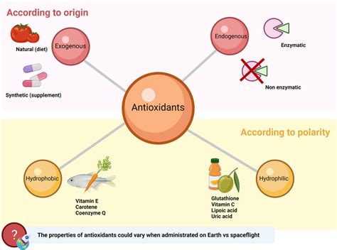 Antioxidant Categorization Enzymatic Endogenous Non Enzymatic