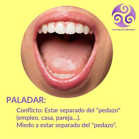 Paladar Sanar Las Heridas Coaching De Salud Integral