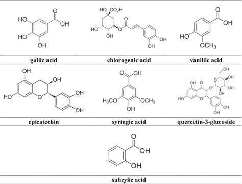 Biomass Conversion And