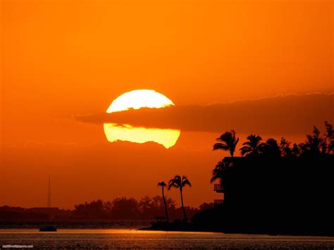 design obsessed  colors   sun