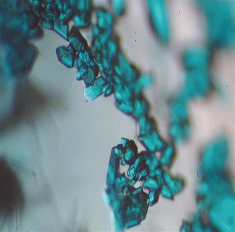 Copper Sulfate Crystals 200x Brightfield R Microscopy