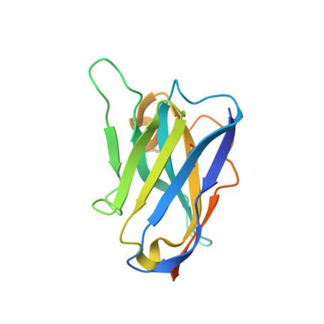 RCSB PDB 8EVD Crystal Structure Of Nanobody VHH101 Bound To Its