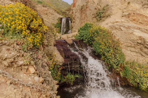 The Alamere Falls Hike: The Best Point Reyes Trail