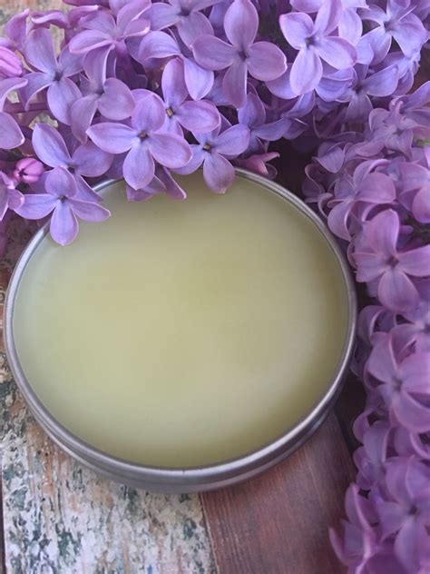 Complete Guide To Diy Healing Salves For Everyday Care And First Aid